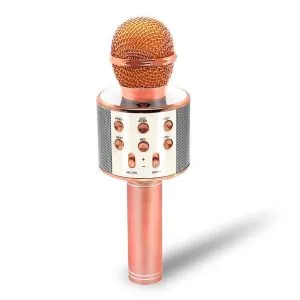 microphone